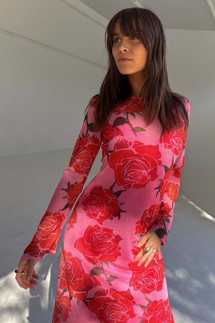 Rosa Aria Dress – Never Fully Dressed