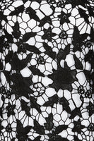 Thumbnail for Black Lace Top