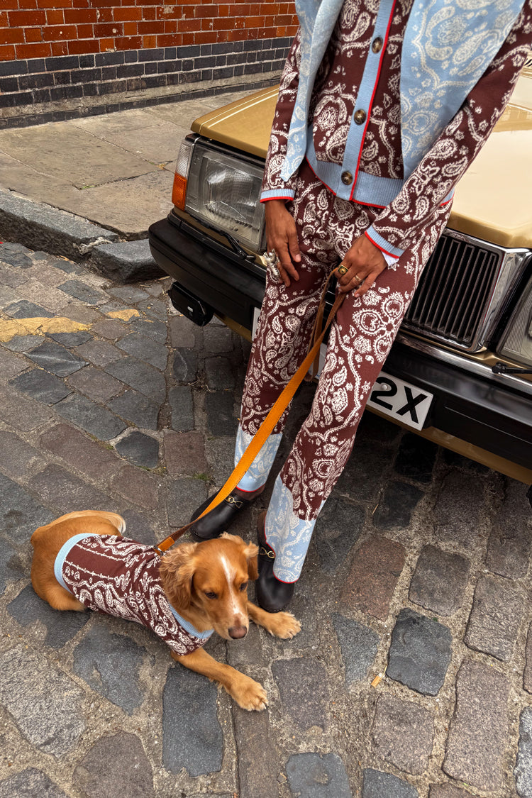 Chocolate Bandana Dog Jumper in a brown paisley knit with blue trim, worn by a dog on a cobblestone street.