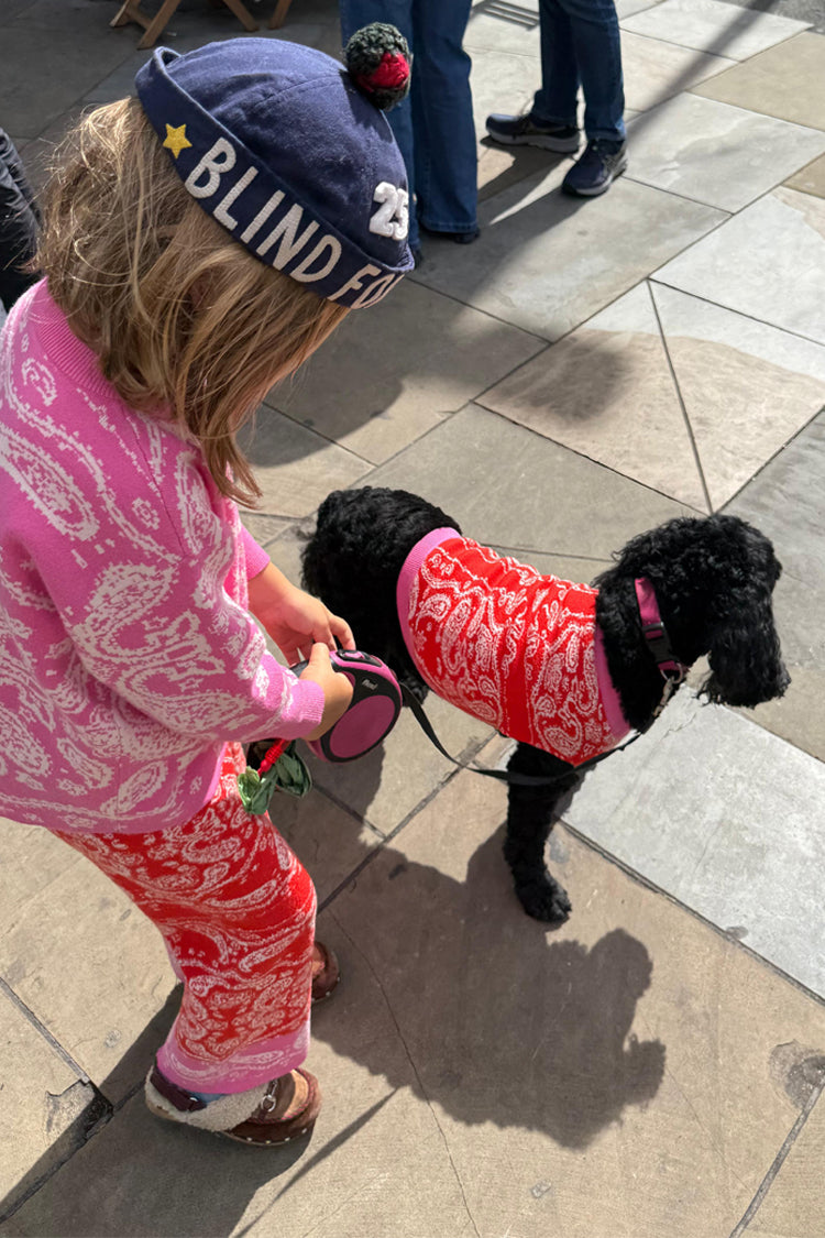 Red and Pink Bandana Dog Jumper on a black dog, styled with a matching kids' bandana knit set.
