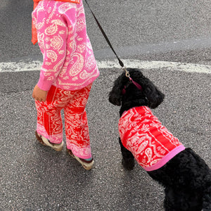 Red and Pink Bandana Dog Jumper on a black dog, walking beside a matching pink bandana print knitted set.