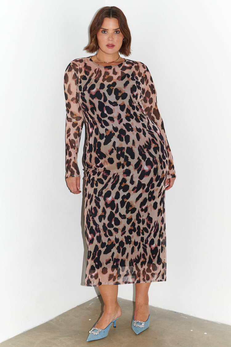 caption_Model wears Leopard Mesh Top in UK 18 / US 14