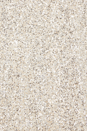 Silver Sequin Mini Soho Dress fabric detail featuring shimmering silver sequins on a neutral base.