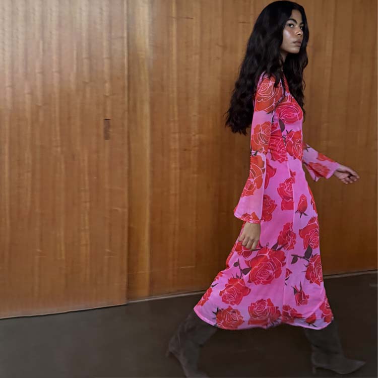 Rosa Aria Dress – Never Fully Dressed
