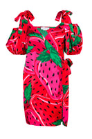 Thumbnail for Strawberry Mini Dress